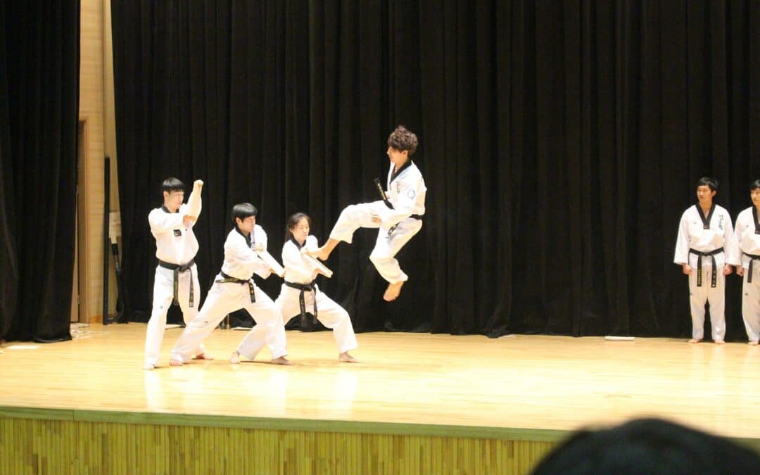 Is Taekwondo Harder than Karate?