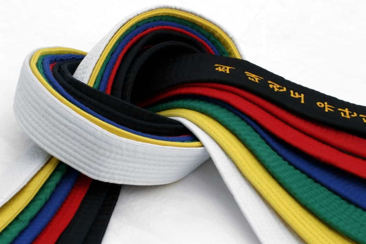 karate belt color guide