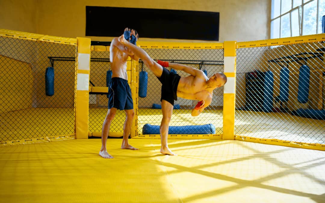 MMA Fighter Making High Kick